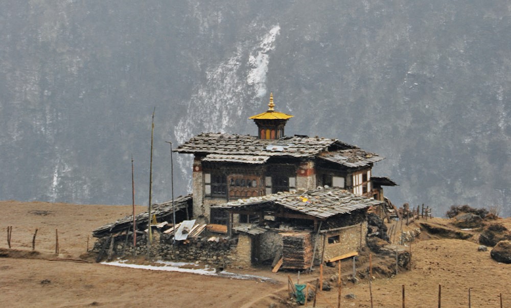 Laya