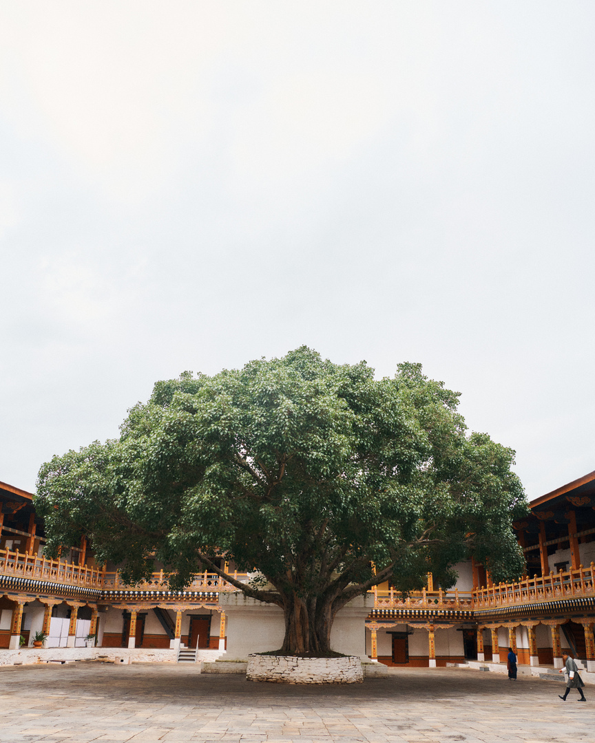 Punakha Dzong fortress architecture